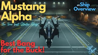 Star Citizen - Mustang Alpha Overview (The Best Starter Ship!)