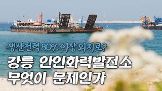 생산전력 80%이상이 수도권으로..? 지역 주민들의 눈물로 지어지는 화력발전소 / 강원365 / MBC강원영동 220719 방송