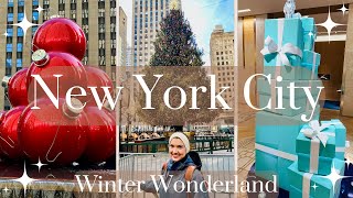 Winter Wonderland: Christmas in New York City ⛄️ 🎄 ❤️