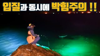 우연히 발밑에 내렸더니... 볼락이 드글드글 ㄷㄷ