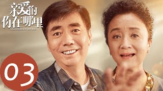 【亲爱的，你在哪里  Dearest，Where are you】EP03 | 丁母入院，何雪琳跟燕子派出所吵架（王雷、秦海璐）