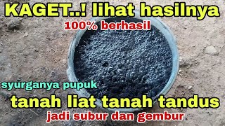 MERINDING liat hasilnya || tanah liat tanah tandus jadi subur gembur dengan cara ini