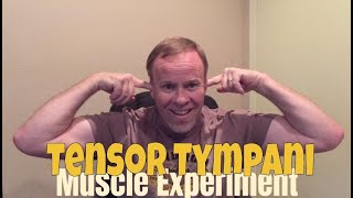 Tensor tympani muscle experiment (Ear experiment)