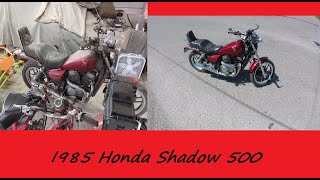 1985 Honda Shadow 500 Sitting for years Getting it running again!