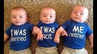 Adorable twin babies | cute kids | Funny vine
