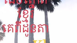 ដើមត្នោតខ្មែរគេពីដូនតា Khmer palm tree 28 April 2022 #ដើមត្នោត##ខ្មែរKhmer palm tree