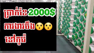 ការងារចឹងសោះប្រាក់ខែ2000$$😮😮