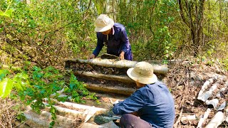 Xuống bãi biển săn bắt rắn 2 khoan màu cực độc [Mái gầm] | TGSB # 346