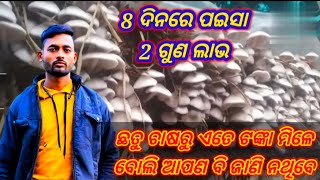 ଗୋଟିଏ ବେଡ଼ରୁ 2 କିଲୋ ଛତୁ ଅମଳ କରନ୍ତୁ ! ଅଧିକ ଛତୁ କେମିତି ଫୁଟିବ ଫୁ୍ଲ ଟ୍ରେନିଂ!!Masru marming.pk maunu 123