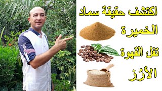 تجربة و نتائج استخدام سماد الخميرة و تفل القهوة و منقوع الارز على النباتات,Using Natural Fertilizers