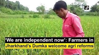 'We are independent now': Farmers in Jharkhand's Dumka welcome agri reforms