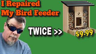 I Repaired My Bird Feeder Twice Video.