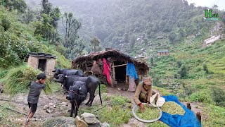 This is Himalayan Nepali Village Life | Naturally And Beautiful Himalayan Winter Season Lifestyle |