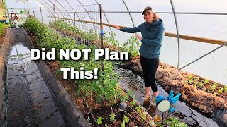 Flooded My High Tunnel and Had to Laugh | First BIG Harvest & Preserving it All!