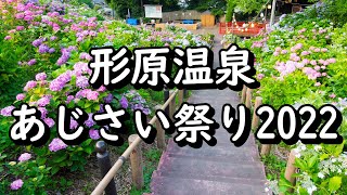 ［愛知県蒲郡市］形原温泉あじさい祭り2022