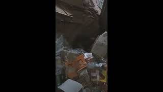 Mxtube.net :: Chokra bazi Mp4 3GP Video & Mp3 Download unlimited ...