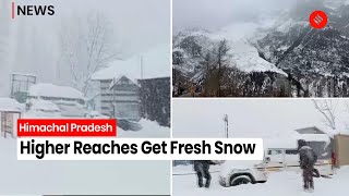 Higher Reaches Of Himachal Pradesh Get Fresh Snow