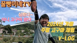 꿀빵이네TV | 고구마캐기 브이로그 | 가을농활