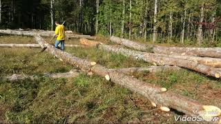 Peeling log #89 for butt and pass log cabin