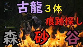 #２０【MHWストーリー簡単攻略】古龍３体痕跡集め：上位（※あっという間に最前線）