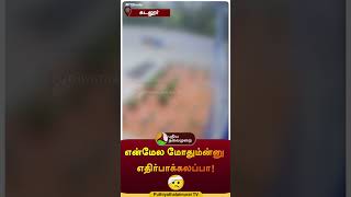 Reverse எடுத்த டிராக்டர்.. மின்கம்பம் மோதி சாலையில் விழுந்த நபர் | #shorts | #petrolbunk