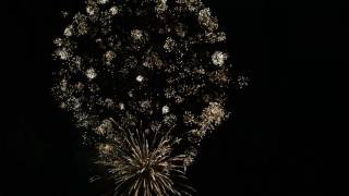 Wedding Fireworks - 1605