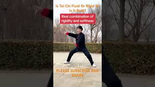 Is Tai Chi Fluid Or Rigid Or Is It Both ? #shorts #meditation #taichi #buddha