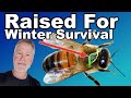 Beekeeping Secret: How to Raise Bees To Flourish in Winter