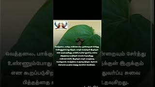 வெற்றிலை மருத்துவம் part-1