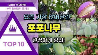 포포나무 추천 판매순위 Top10 || 가격 평점 후기 비교