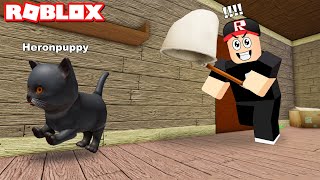 Kedi Oldum!! Kaç ve Kötü Adamdan Kurtul -  Panda ile Roblox The Catcher