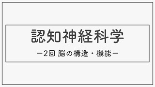 認知神経科学（神経・生理心理学）2021_02_脳の構造と機能