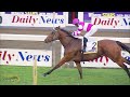 20240525 isizulu hollywoodbets greyville race 9 won by spirited flight