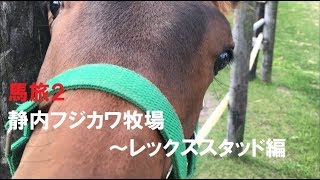 馬旅 ２　第二話　静内フジカワ牧場～レックススタッド編　～引退した競走馬を訪ねてみたら～