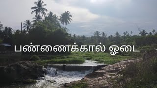 பண்ணைக்கால் ஓடை