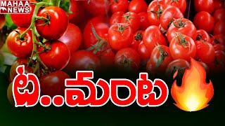 సామాన్య ప్రజలకు షాక్.. ఆకాశాన్నంటిన టమోటా రేటు: Tomato Price Increase | Mahaa News