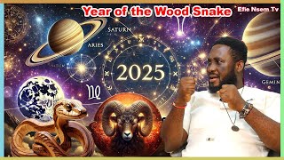 THE PLANET OF TRANSFORMATION AND THE YEAR OF THE WOOD SNAKE l FADA DICKSON VS  HARMONY l Efie Nsem