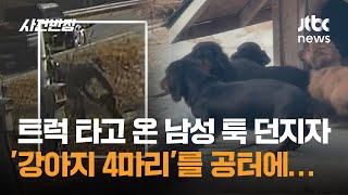 트럭 타고 온 남성 툭 던지자 '강아지 4마리'를 공터에… / JTBC 사건반장