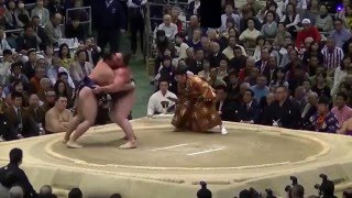 大相撲大阪場所　鶴竜vs栃ノ心　2016.3.18