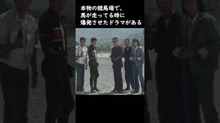 10秒で分かる競馬の豆知識　競馬場で爆発事件！？　 #shorts #競馬 #豆知識