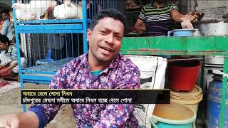 মেঘনায় অবাধে নিধন হচ্ছে বেলে পোনা | Fish | River | News | Ekattor TV