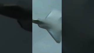 速っ！！音速突破寸前！？ド迫力F-22ラプターの高速パス！Almost Supersonic! USAF F-22 Raptor High Speed Pass