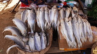 First Time @ Pursat Market, Massive Market in Pursat Town @ 9AM, Cambodian Street Food