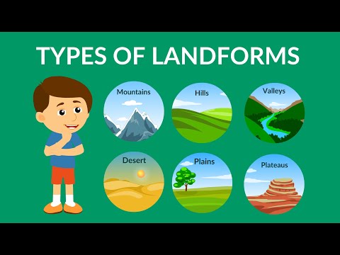 Is a tree a landform?