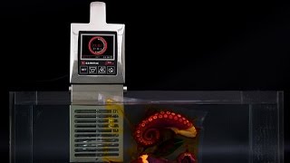 SmartVide8: the new generation of sous-vide cookers is here