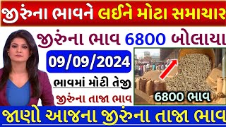 🔥જીરું ના ભાવમાં જોરદાર તેજી🔥| 9-09-2024|જીરુ ના ભાવ | information about cumin price commodity