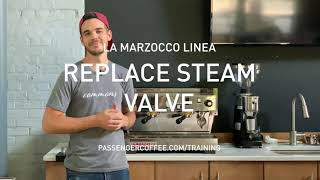 Steam Valve Replacement on La Marzocco Linea Espresso Machine