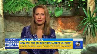 How animals may react to total solar eclipse