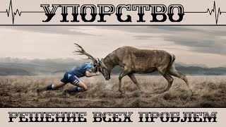 ★ Настойчивость и Упорство ★ VS ★ Талант, Гениальность, Образование ★