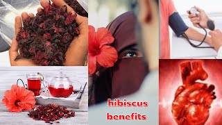 Faaiidoyinka cafimad uu leyahay ubaxa karkadeyga health benefits for hibiscus tea by Queenhsom 2021